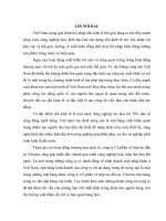 Báo cáo thực tập tổng hợp về công ty cổ phần xuất nhập khẩu và hợp tác đầu tư vilexim