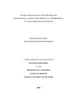 Characterization of new peptides and physiological amino acids present in cerebrospinal fluid of chronic pain patients