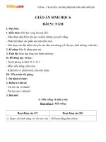 Giáo án sinh học 6 bài nấm