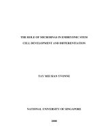 The role of microRNAs in embryonic stem cell development and differentiation 