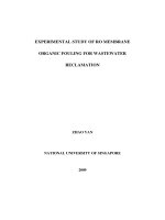 Experimental study of RO membrane organic fouling for wastewater reclamation