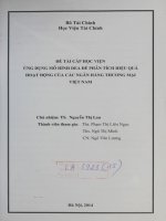 ứng dụng mô hình dea để phân tích hiệu quả hoạt động của các ngân hàng thương mại việt nam