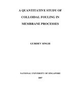 A quantitative study of colloidal fouling in membrane processes 