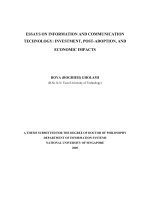 Essays on information and communication technology investment, post adoption and economic impacts