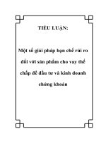 Một số giải pháp hạn chế rủi ro đối với sản phẩm cho vay thế chấp để đầu tư và kinh doanh chứng khoán 