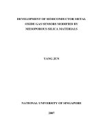 Development of semiconductor metal oxide gas sensors modified by mesoporous silica materials 