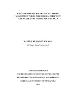 Engineering of binary metal oxide nanostructures for highly efficient and stable excitonic solar cells