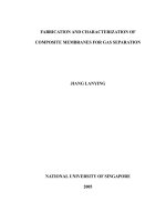 Fabrication and characterization of composite membranes for gas separation