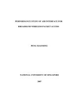 Performance study of air interface for broadband wireless packet access 