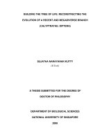 Building the tree of life reconstructing the evolution of a recent and megadiverse branch (calyptrates  diptera)