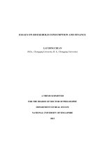 ESSAYS ON HOUSEHOLD CONSUMPTION AND FINANCE