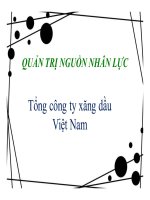 Quản trị nguồn nhân lực trong công ty xăng dầu 