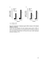 Analysis of p13k independent survival pathways in the prostate cancer cell line LN cap 2 