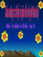 Bai 27: Dong vat song o dau   lop 2