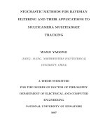Stochastic methods for bayesian filtering and their applications to multicamera multitarget tracking 