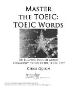 Master the TOEIC words