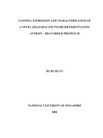 Cloning, expression and characterization of novel helicobacter pylori differentiating antigen   heat shock protein 20