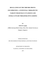 Regulation of the TRIP BR1 proto oncoprotein   a potential therapeutic target for human cutaneous and intracavitory proliferative lesions 