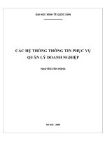 các hệ thống thông tin phục vụ quản lý doanh nghiệp nguyễn văn hồng