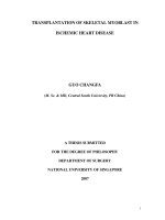 Transplantation of skeletal myoblast in ischemic heart disease 1 