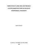 Fabrication of large area and precisely located nanostructures on silicon by interference lithography