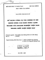 sử dụng công cụ tài chính vi mô nhằm nâng cao khả năng cạnh tranh của doanh nghiệp việt nam trong điều kiện hiện nay