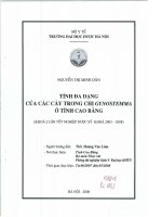 Tính đa dạng của các cây trong chi gynostemma ở tỉnh cao bằng