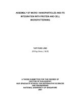 Protein and cell micropatterning and its integration with micro nanoparticles assembly 