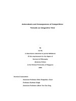 Antecedents and consequences of competition  towards an integrative view 