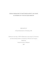 Characterization of electromagnetic and light scattering by nano scaled objects