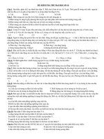 de thi thu dai hoc 2011 có dap an