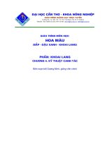 Giáo trình hoa màu đại địa cương phần kỹ thuật canh tác khoai lang 