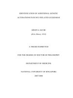 Identification of additional genetic alterations in RUNX1 related leukemias 
