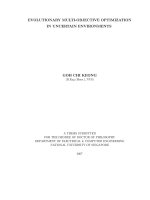 Evolutionary multi objective optimization in uncertain environments