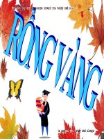 Trò chơi cũng cố (rông vàng)