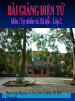 TNXH Tuần 35 Ôn tập(tiết 2)