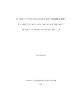 Constitutive equations for martensitic reorientation and the shape memory effect in shape memory alloys 