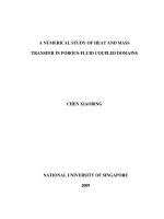 A numerical study of heat and mass transfer in porous fluid coupled domains