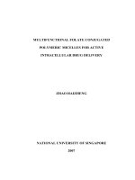 Multifunctional folate conjugated polymeric micelles for active intracellular drug delivery 
