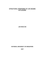 Structural response of light weight concrete beams in flexure 