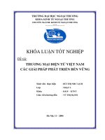 Thương mại điện tử việt nam các giải pháp phát triển bền vững 