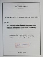 xây dựng hệ thống cảnh báo rủi ro tín dụng trong hệ thống ngân hàng chính sách xã hội