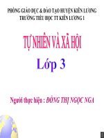 TNXH 3   Trái đất và địa cầu