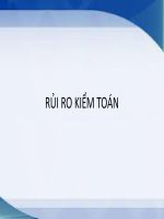 Đề tài bàn về rủi ro kiểm toán