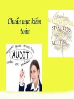 Đề tài chuẩn mực kiểm toán