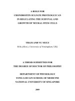 A role for chondroitin sulfate proteoglycan in regulating the survival and growth of neural stem cells