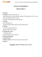 Giáo án sinh học 6 bài địa y