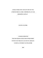 Characterization and function of two g protein regulators, vertebrate LGN and drosophila RapGAP