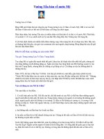 TƯỚNG TÀU NÓI VỀ NƯỚC MỸ