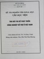 thu hút FDI để phát triển công nghiệp hỗ trợ ở việt nam
